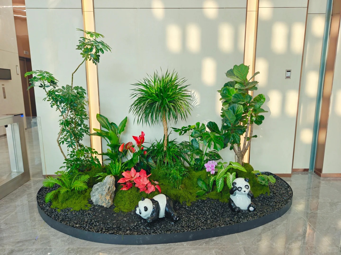 专业花木出租,为宁波添一抹绿意